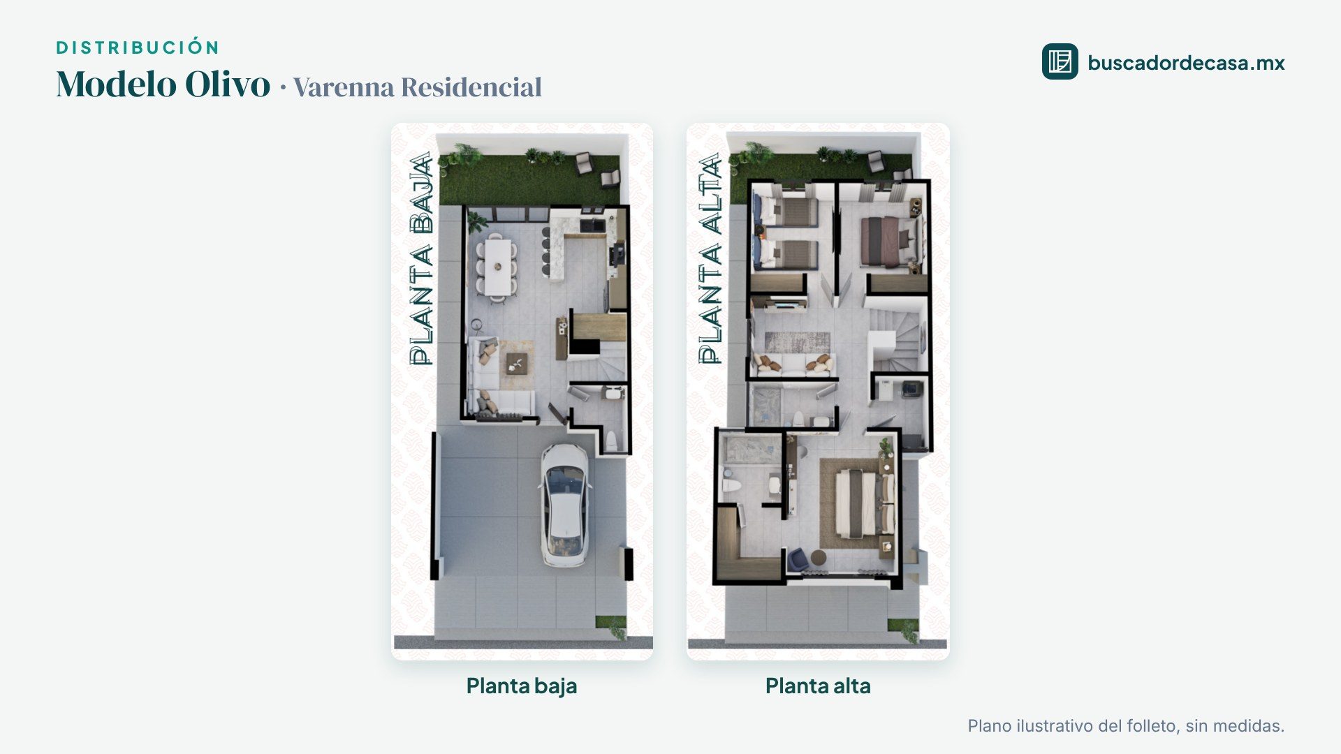 Modelo Olivo - imagen 2