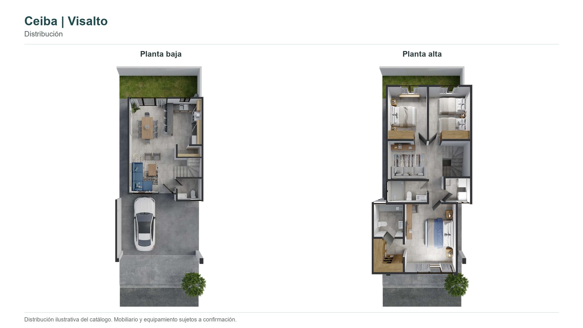 Modelo Ceiba - imagen 2
