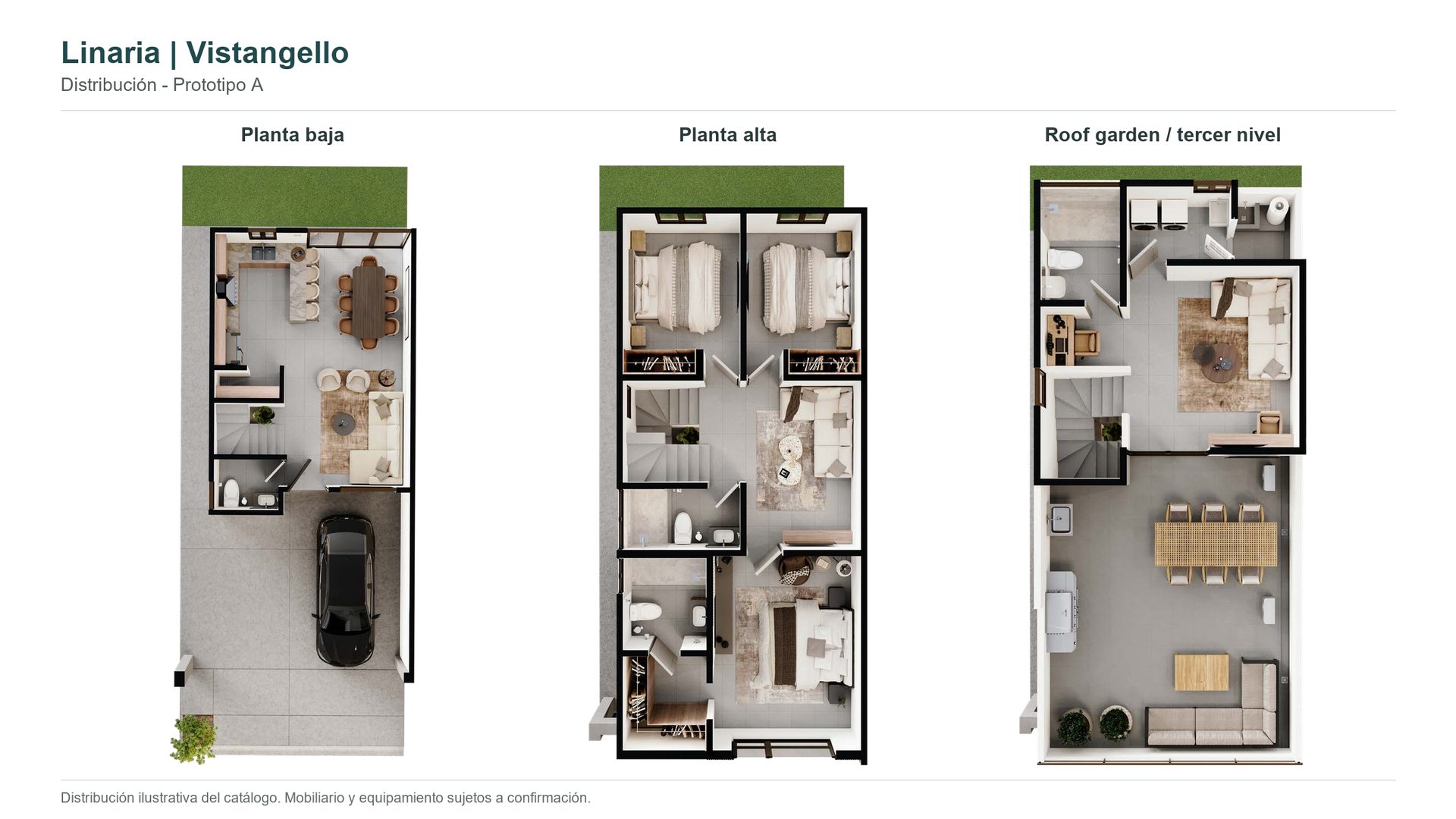 Modelo Linaria - imagen 2