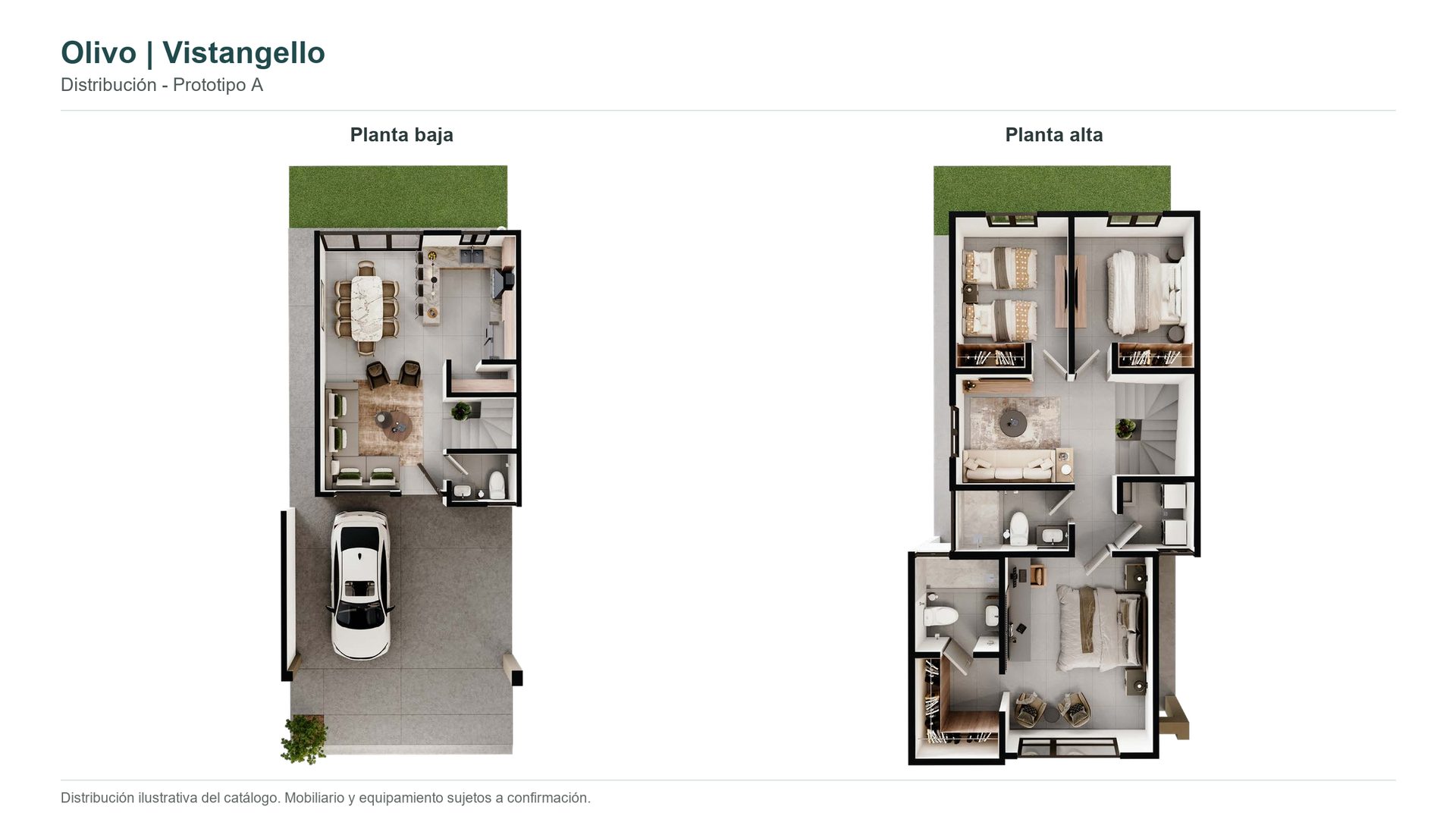 Modelo Olivo - imagen 2